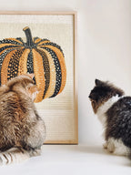 pumpkin cat scratching board