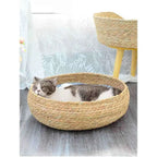 Thick, soft PP cotton cushion for superior comfort