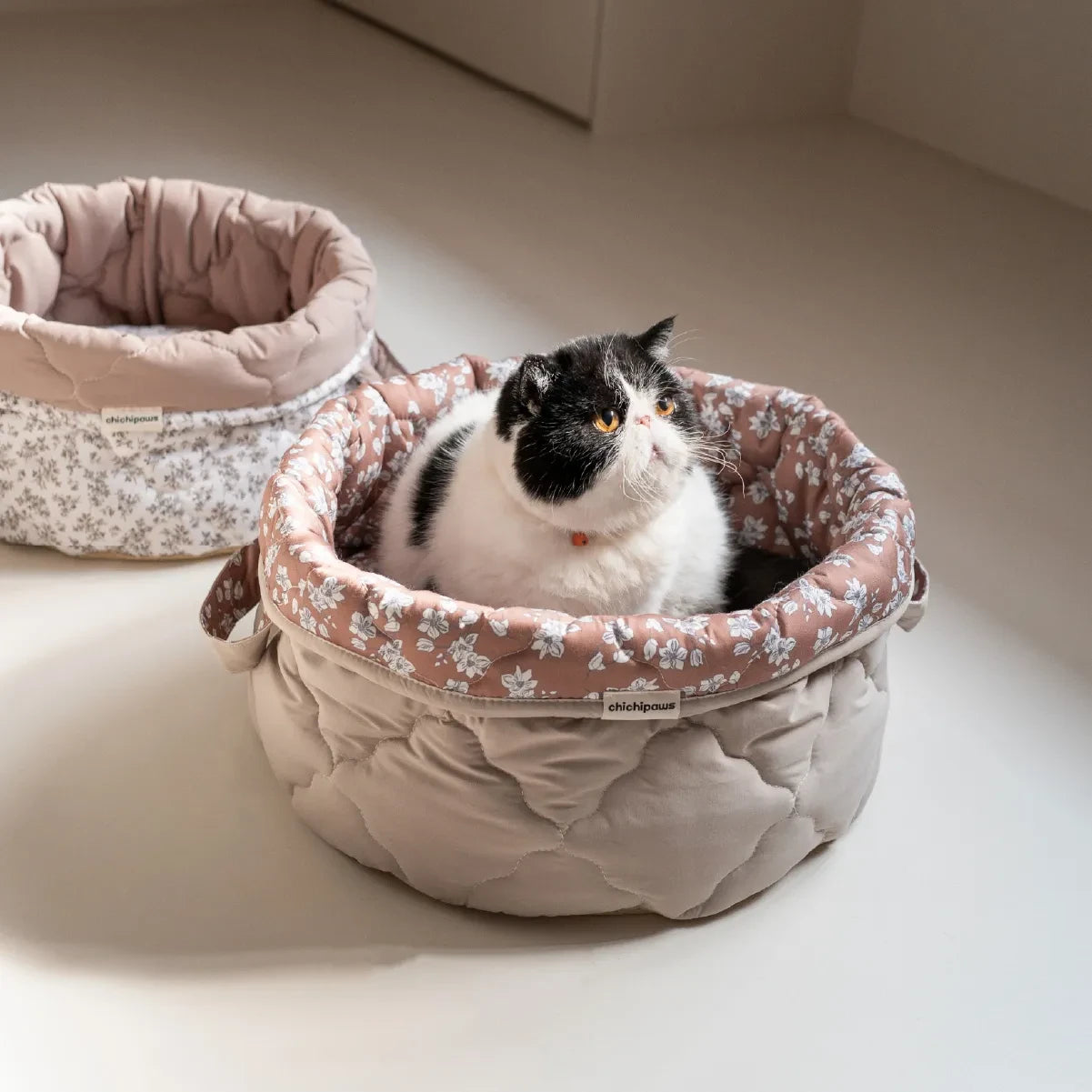 The Loggia Series Object #6："Pet Perch"