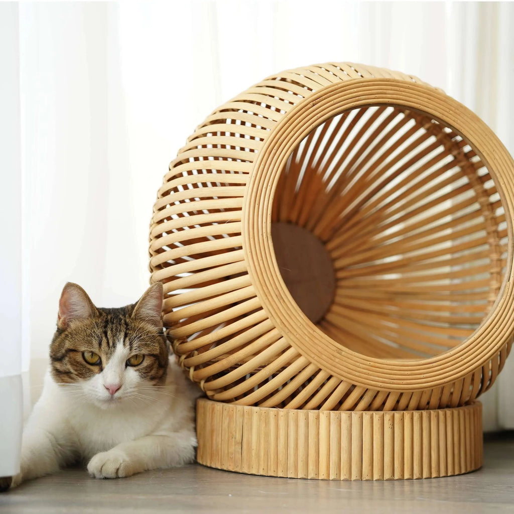 The Loggia Series Object #5："Pet Perch"