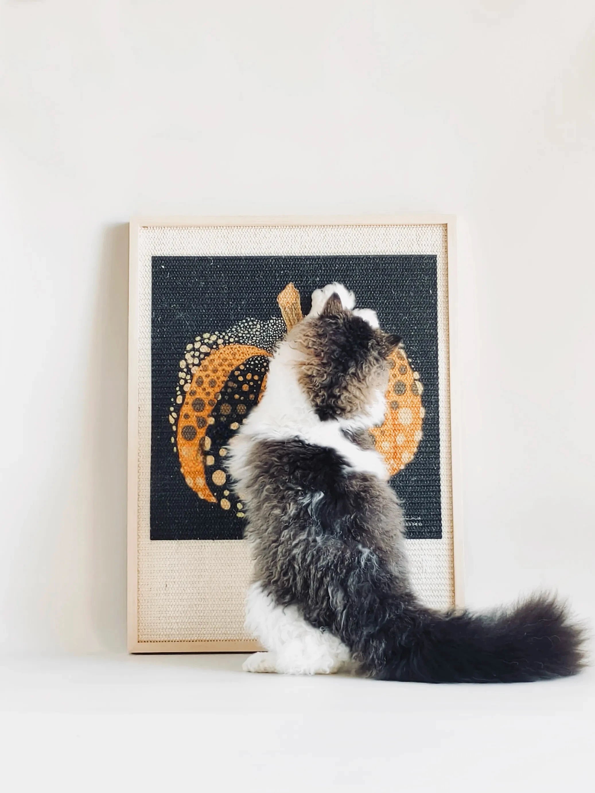 cat scratch board