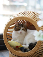 The Loggia Series Object #5："Pet Perch"