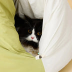 The Loggia Series Object #9："Pet Perch"