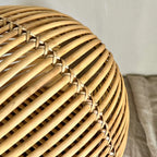 The Loggia Series Object #5："Pet Perch"