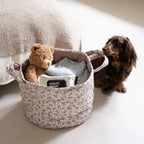 The Loggia Series Object #6："Pet Perch"