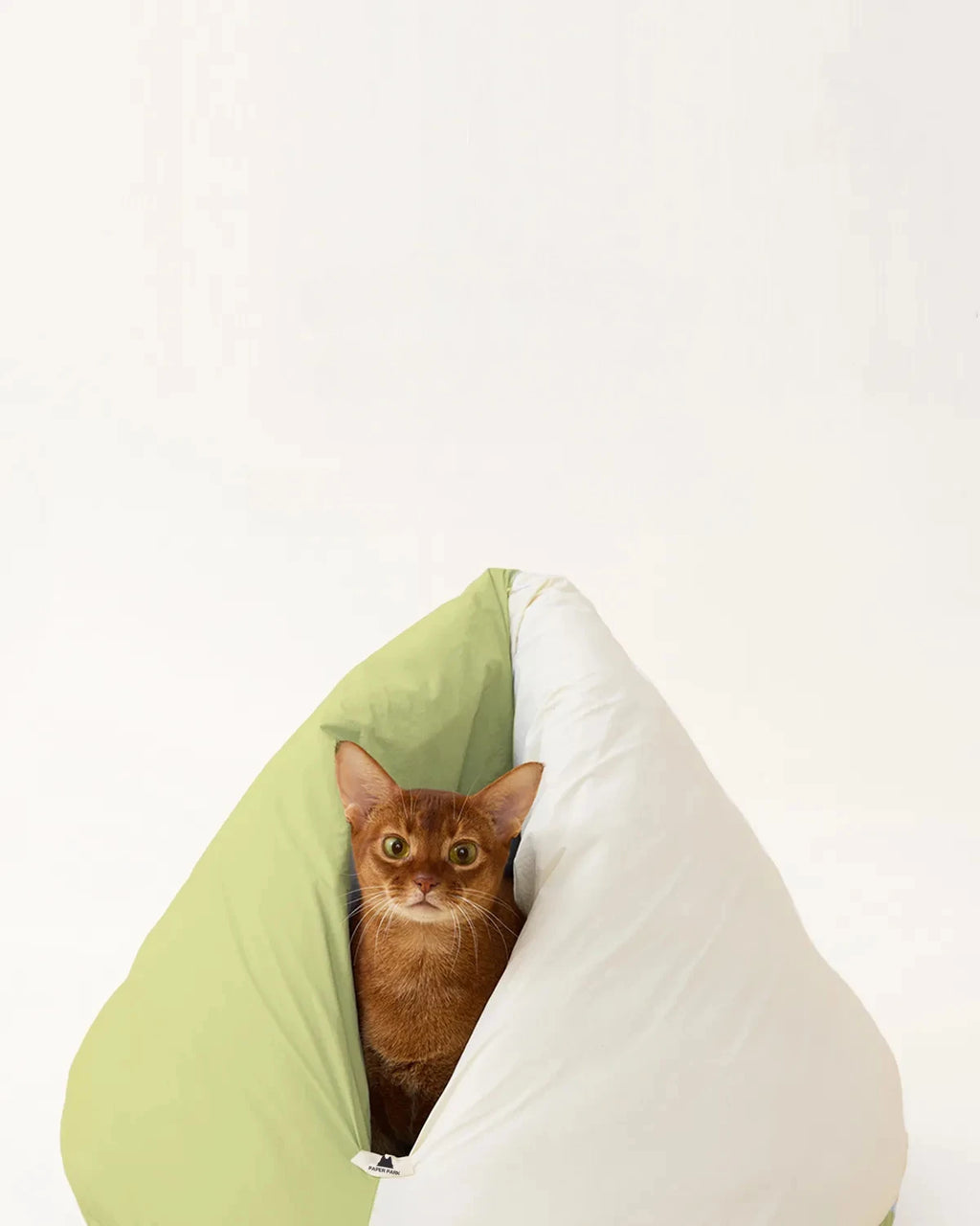 The Loggia Series Object #9："Pet Perch"