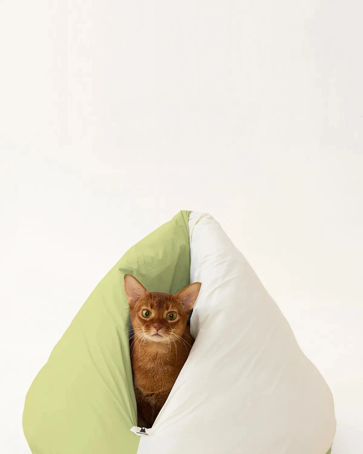 The Loggia Series Object #9："Pet Perch"