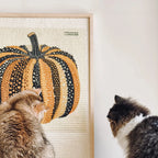 modern cat furniture