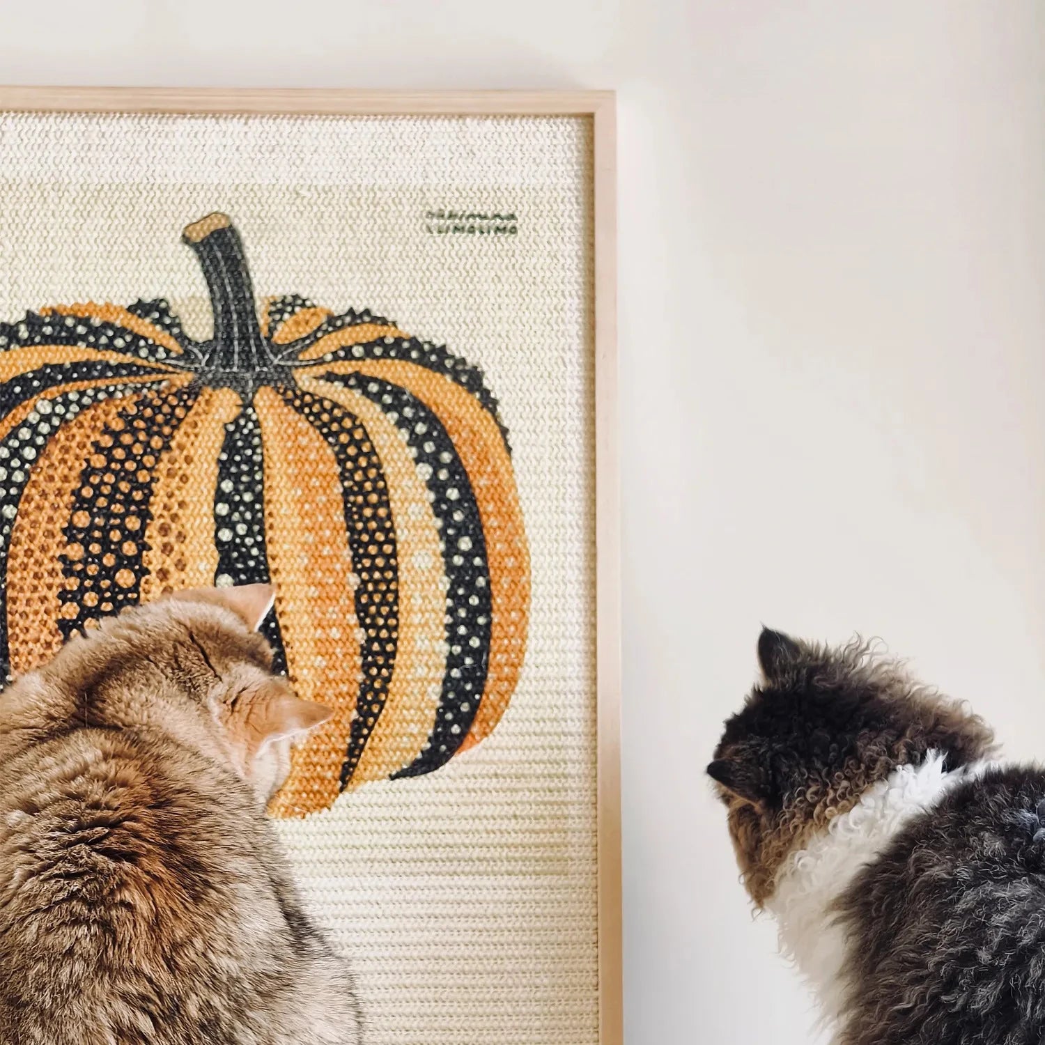 modern cat furniture