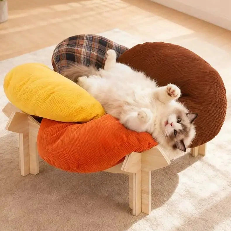 Luxury Elevated Pet Sofa Design