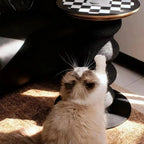and multi-functional human-pet shared furniture design for contemporary homes.