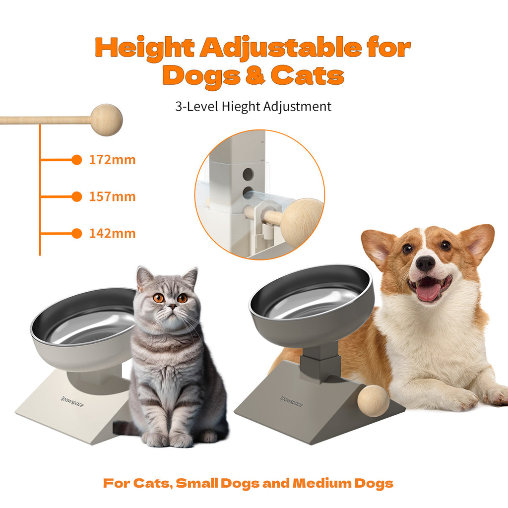 304 Food-Grade Stainless Steel Cat Food Bowl - Adjustable Angle 0–17.5°