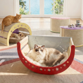 The Cat's Bed
