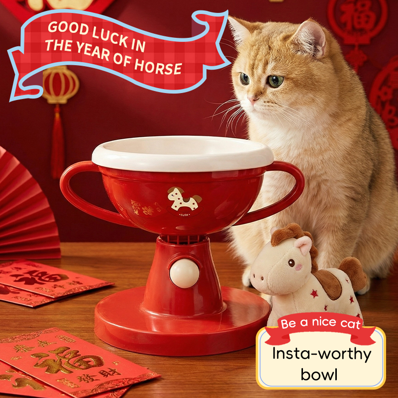 Elevated Trophy Cat Bowl - Ergonomic Raised Feeder | DUASY