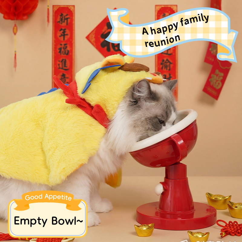 Elevated Trophy Cat Bowl - Ergonomic Raised Feeder | DUASY