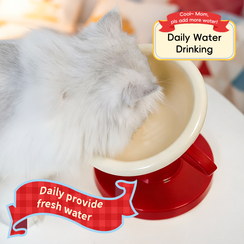 Elevated Trophy Cat Bowl - Ergonomic Raised Feeder | DUASY