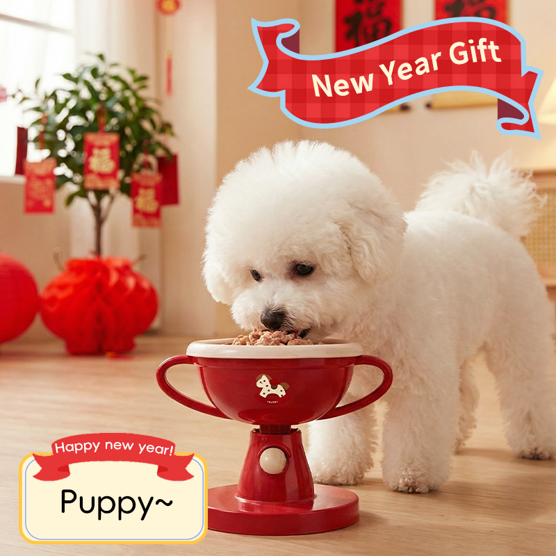 Elevated Trophy Cat Bowl - Ergonomic Raised Feeder | DUASY