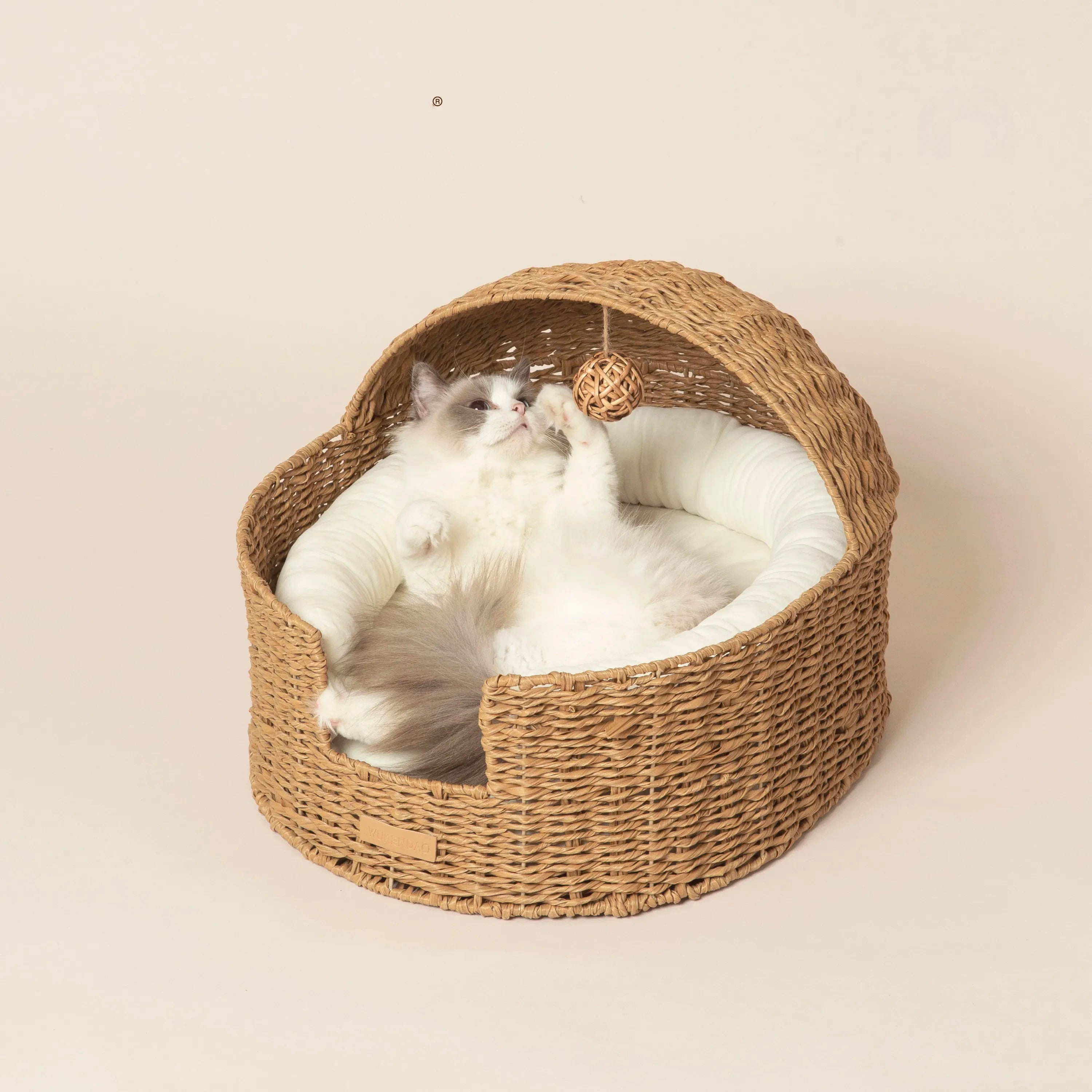 The Loggia Series Object #3："Pet Perch"