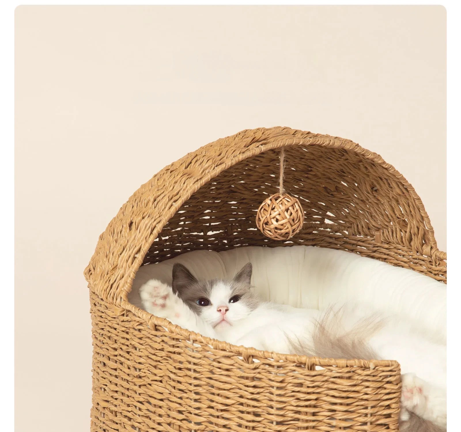 The Loggia Series Object #3："Pet Perch"