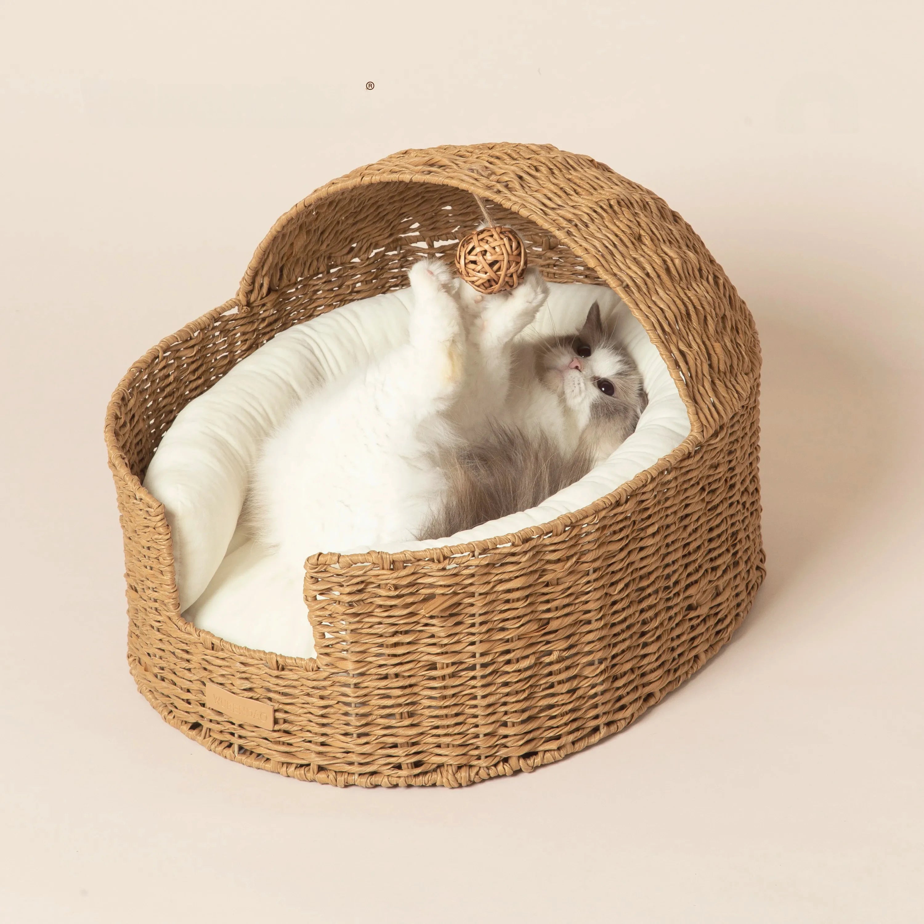 The Loggia Series Object #3："Pet Perch"