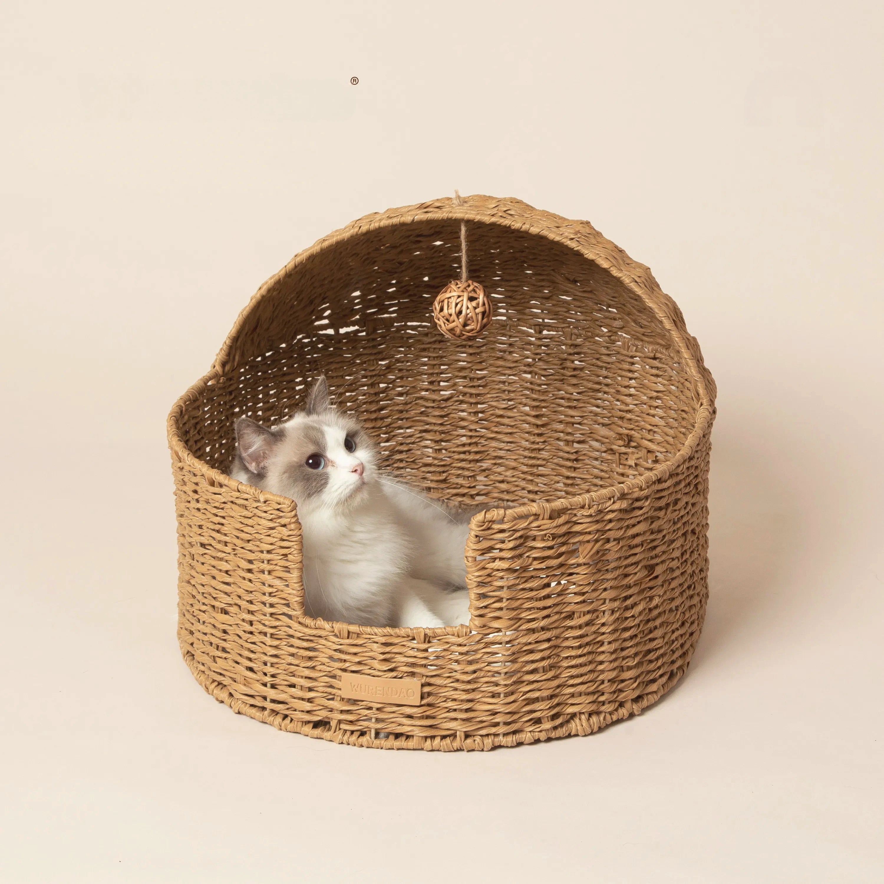 The Loggia Series Object #3："Pet Perch"