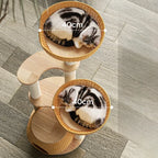 Durable Sisal Scratching Post: Encourages healthy scratching habits while protecting household furniture.