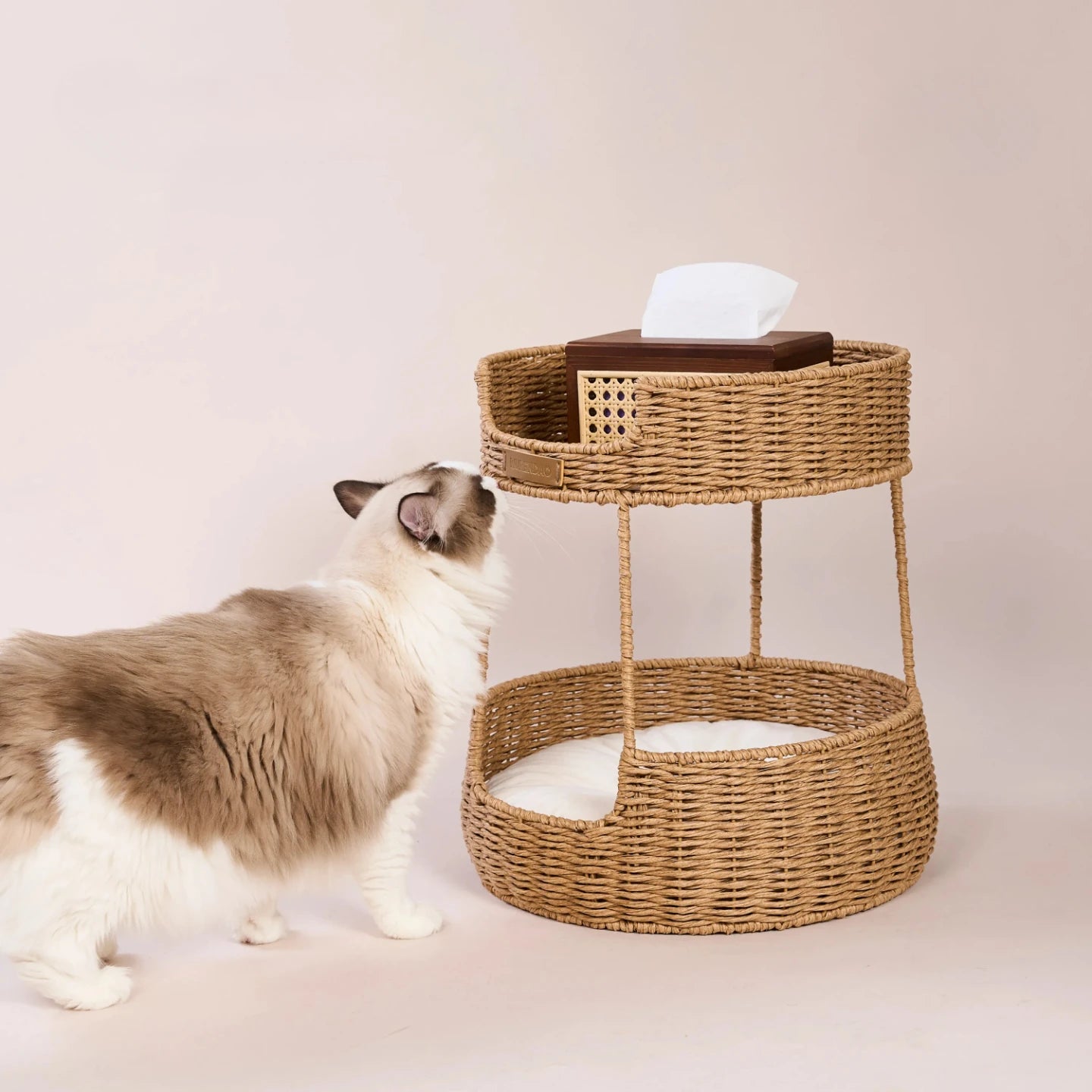 The Loggia Series Object #2："Pet Perch"