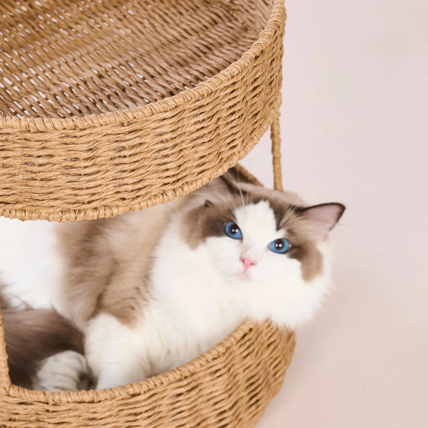 The Loggia Series Object #2："Pet Perch"