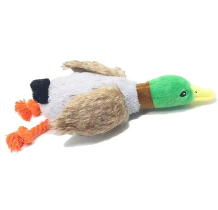 Pet Playing Funny Dogs Chewing Plush Pet Toys Accessories Simulation Wild Duck Interactive Dog Toy for Pet Dog Squeaky Toy