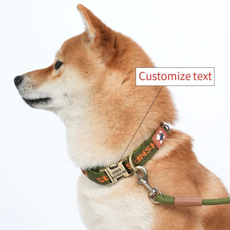 Cartoon Print Pattern  Pet Collar with Metal Buckle Ribbon Dog Collar with Engraving