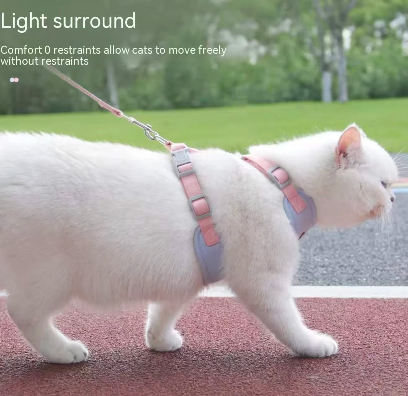 New Cat Leash - Anti-Snatching Cat Chest Harness for Outdoor Cat Walk - Adjustable Pet Leash