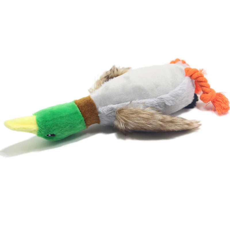 Pet Playing Funny Dogs Chewing Plush Pet Toys Accessories Simulation Wild Duck Interactive Dog Toy for Pet Dog Squeaky Toy