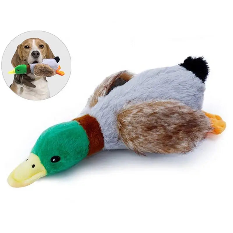 Pet Playing Funny Dogs Chewing Plush Pet Toys Accessories Simulation Wild Duck Interactive Dog Toy for Pet Dog Squeaky Toy