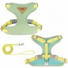 New Cat Leash - Anti-Snatching Cat Chest Harness for Outdoor Cat Walk - Adjustable Pet Leash