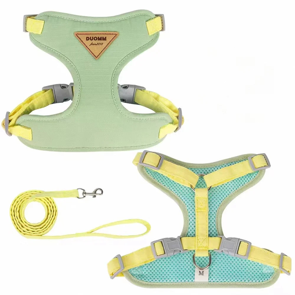 New Cat Leash - Anti-Snatching Cat Chest Harness for Outdoor Cat Walk - Adjustable Pet Leash