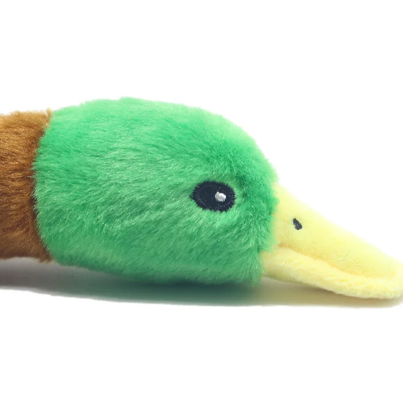 Pet Playing Funny Dogs Chewing Plush Pet Toys Accessories Simulation Wild Duck Interactive Dog Toy for Pet Dog Squeaky Toy