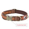 Cartoon Print Pattern  Pet Collar with Metal Buckle Ribbon Dog Collar with Engraving
