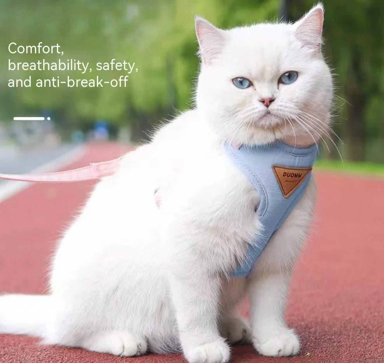New Cat Leash - Anti-Snatching Cat Chest Harness for Outdoor Cat Walk - Adjustable Pet Leash