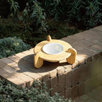 Modern elevated pet bowl designed for contemporary homes