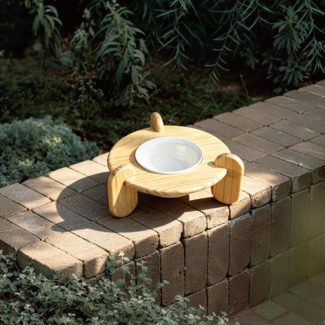 Modern elevated pet bowl designed for contemporary homes