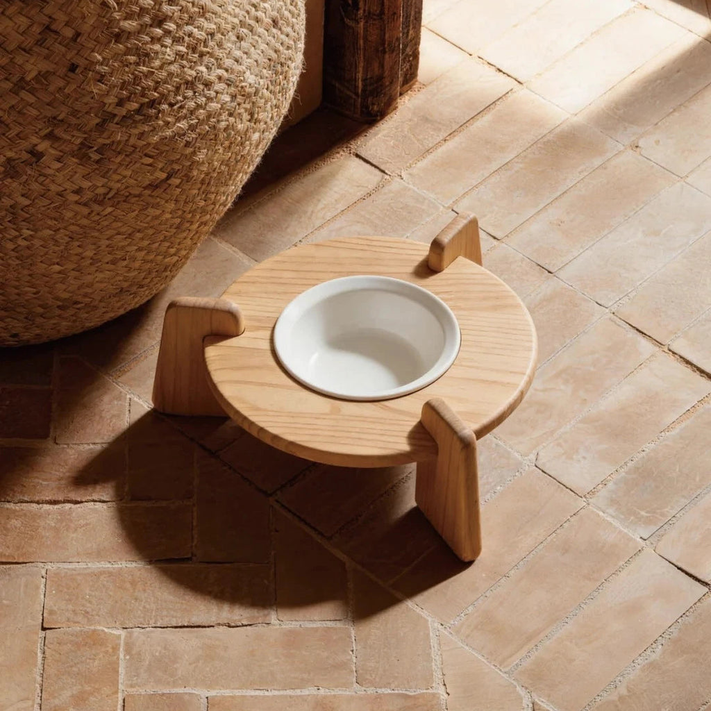 Modern elevated pet bowl designed for contemporary homes